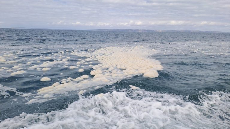 https://www.marinebusinessnews.com.au/wp-content/uploads/2025/08/Seafoam_DeepCreek_20250423_103447-768x432.jpg