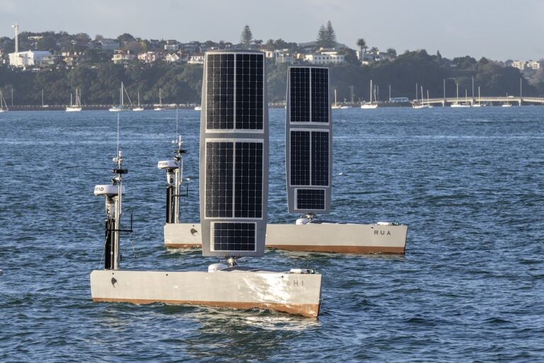 https://www.marinebusinessnews.com.au/wp-content/uploads/2026/10/NZDF_Bluebottles_3-of-5-768x512.jpg